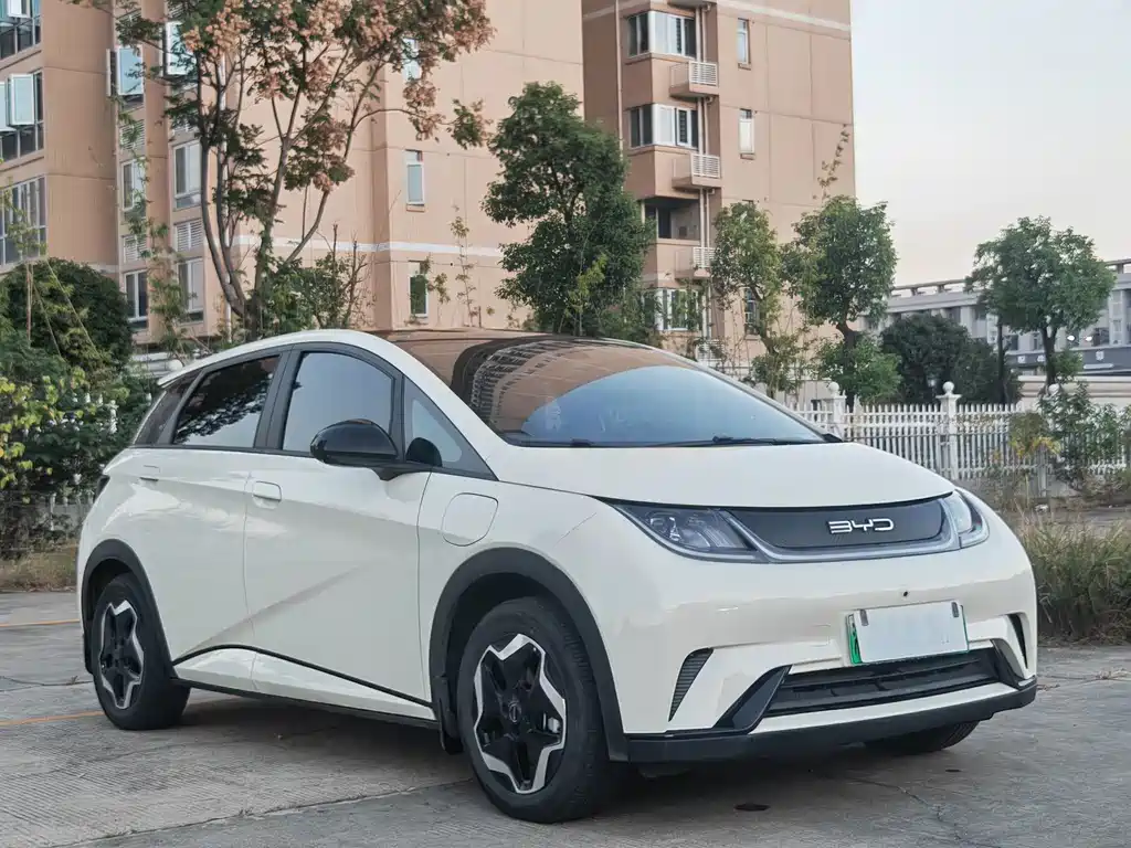 BYD Dolphin — миниатюра 3
