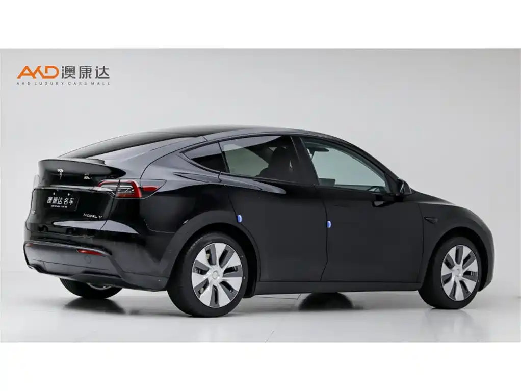 Tesla Model Y — миниатюра 3