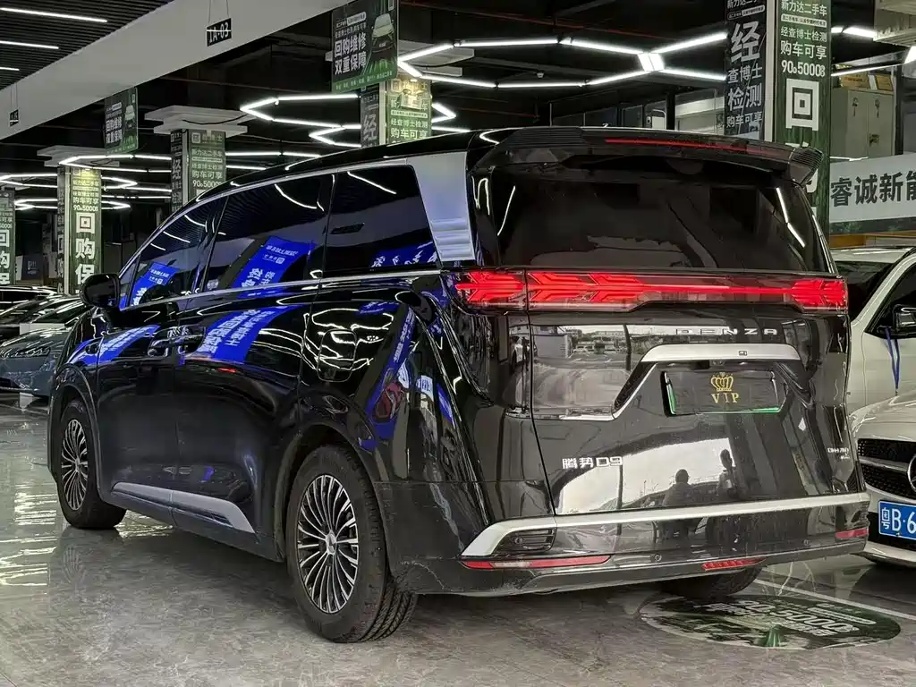 Denza Denza D9 — миниатюра 4