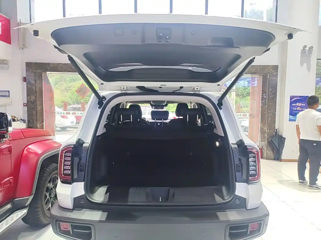 Haval Big Dog — миниатюра 19
