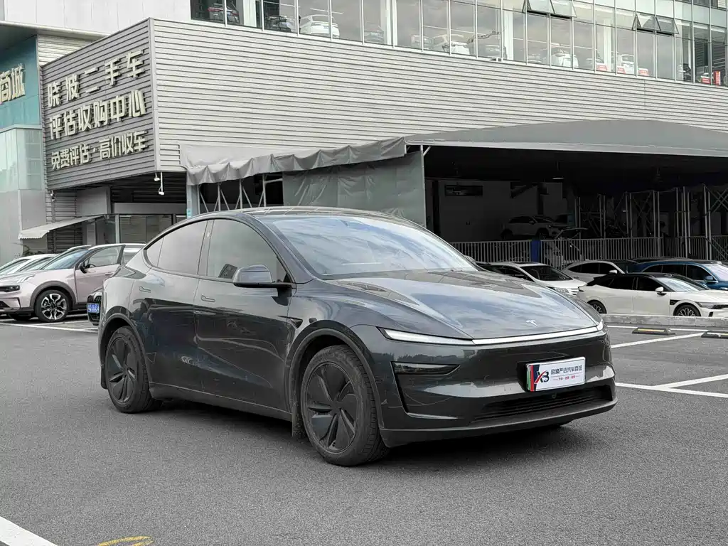 Tesla Model Y — миниатюра 3