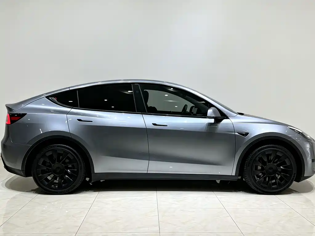 Tesla Model Y — миниатюра 4