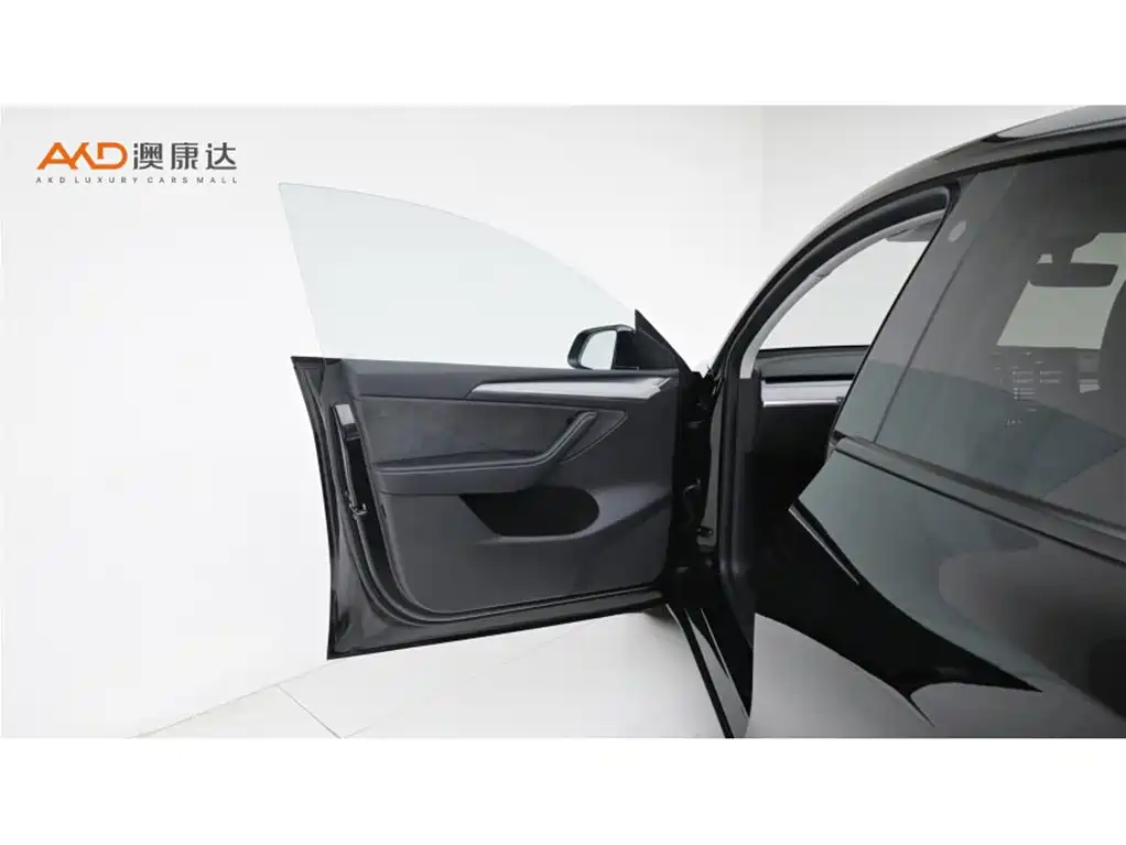 Tesla Model Y — миниатюра 10
