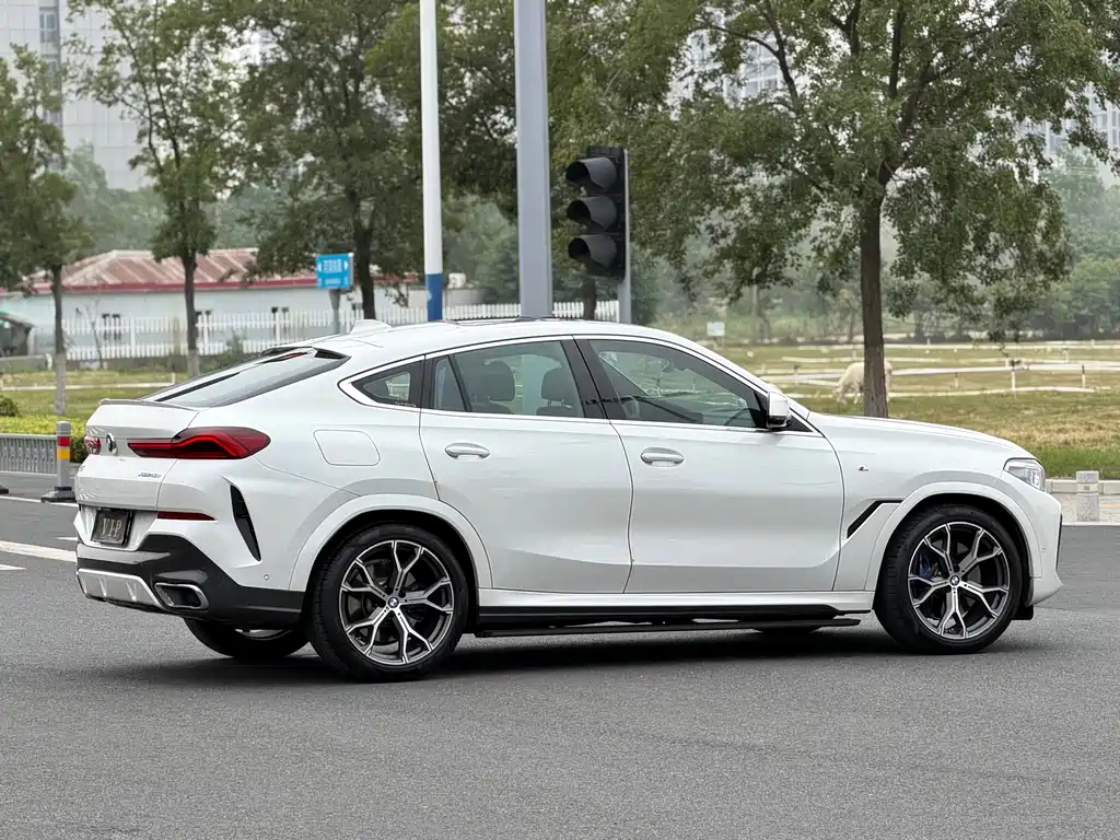 BMW X6 2020 xDrive40i Premium M Sport