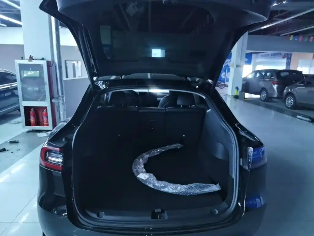 Tesla Model Y — миниатюра 19