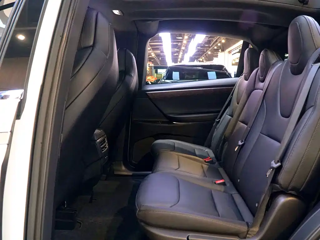 Tesla Model X 2017 Model X 100D