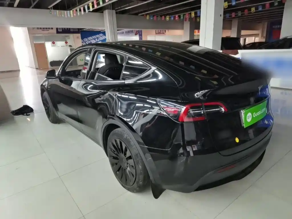 Tesla Model Y — миниатюра 5