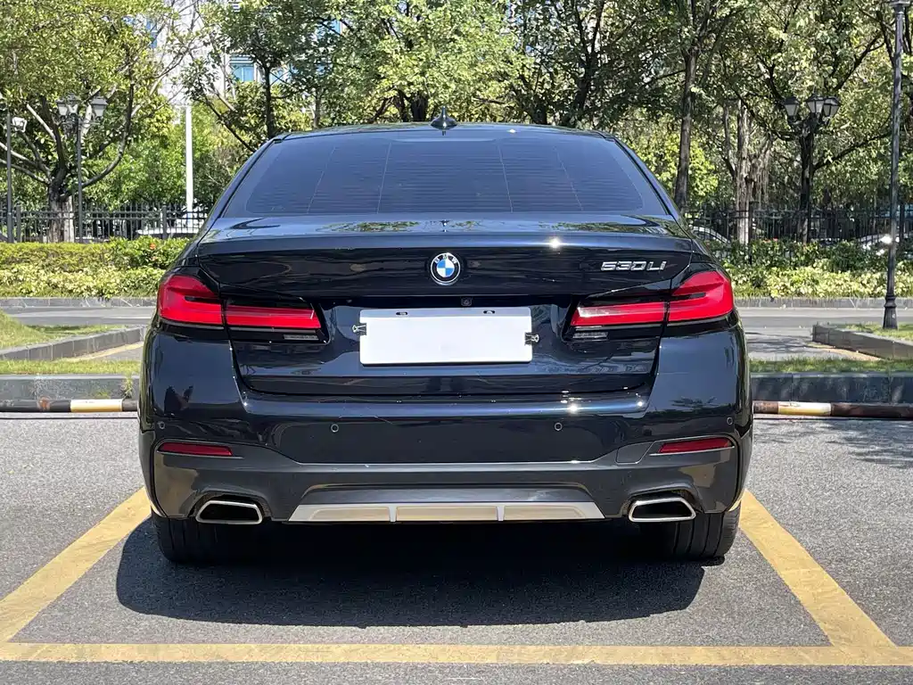 BMW 5 Series — миниатюра 5