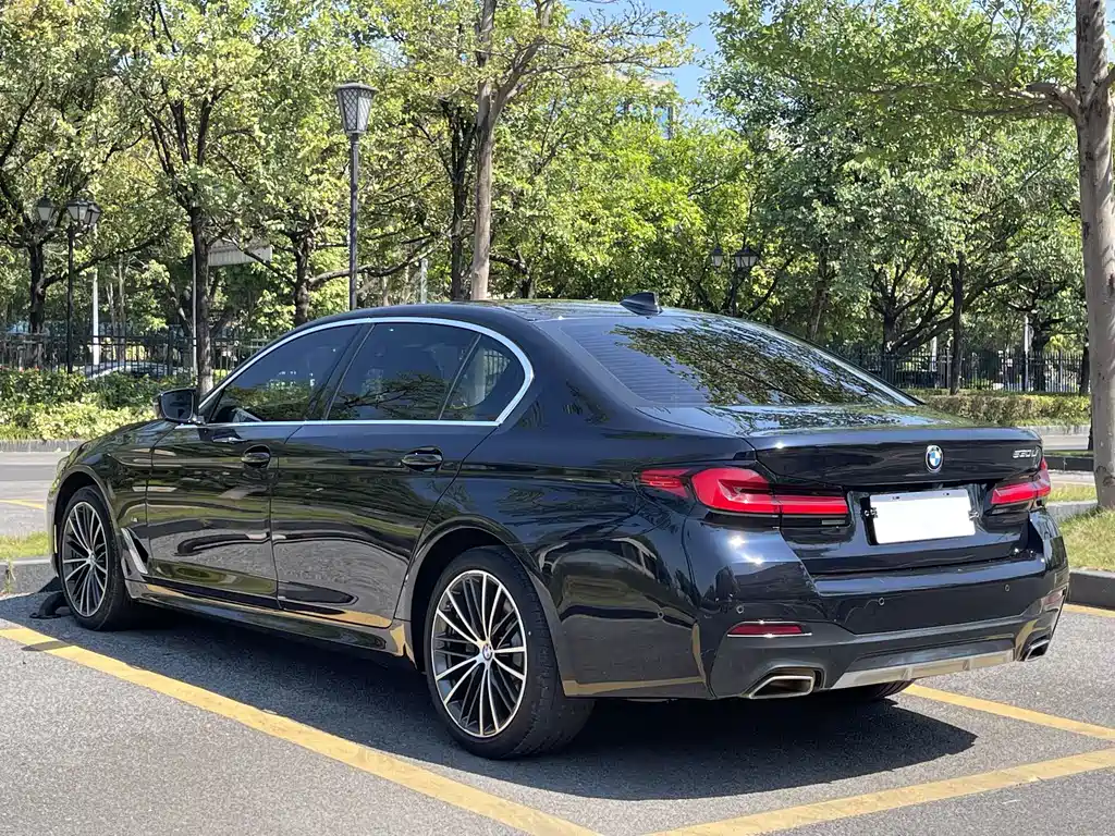 BMW 5 Series — миниатюра 4