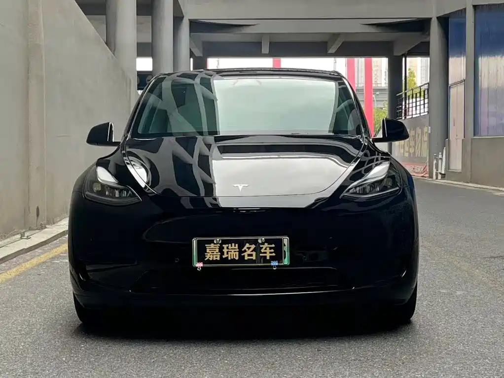 Tesla Model Y — миниатюра 2