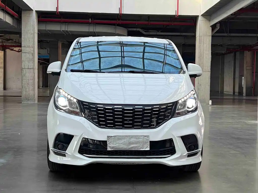 MAXUS G10