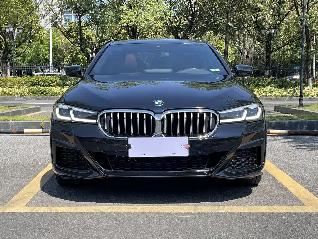 BMW 5 Series — миниатюра 2