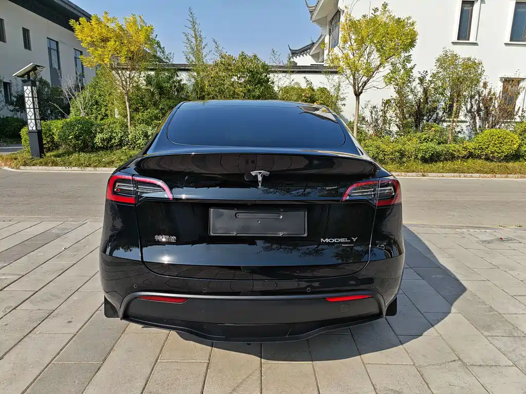 Tesla Model Y — миниатюра 10