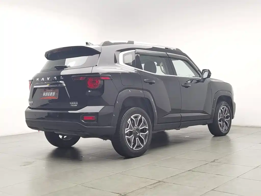 Haval Big Dog PLUS New Energy — миниатюра 2