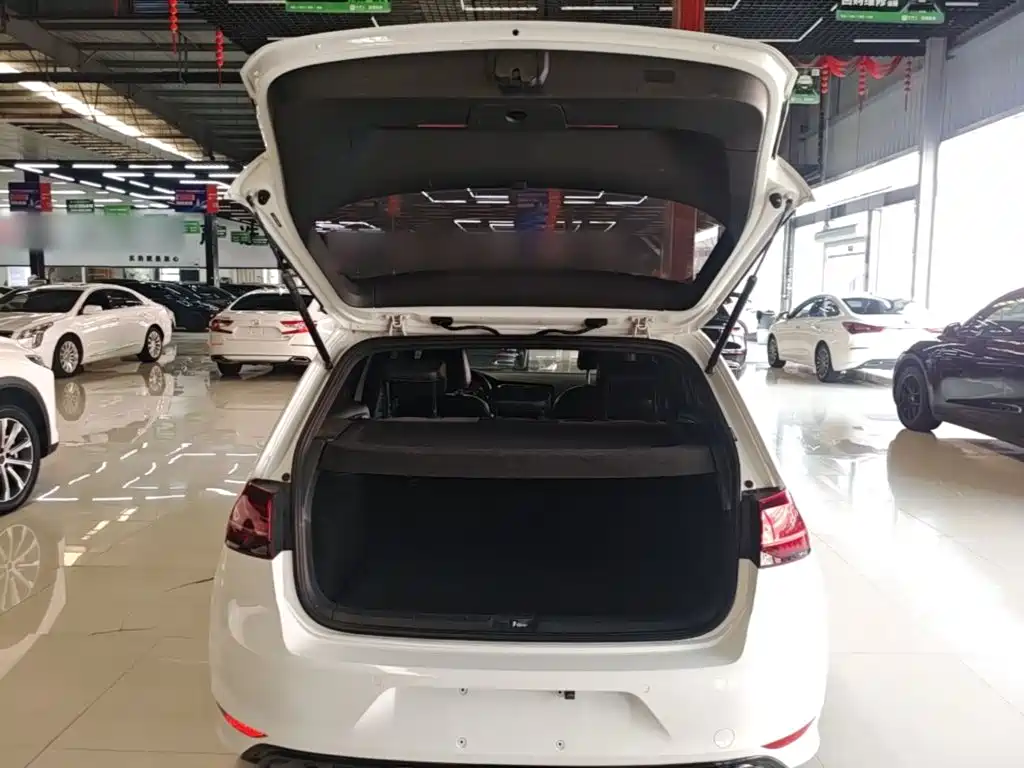 Volkswagen Golf — миниатюра 19