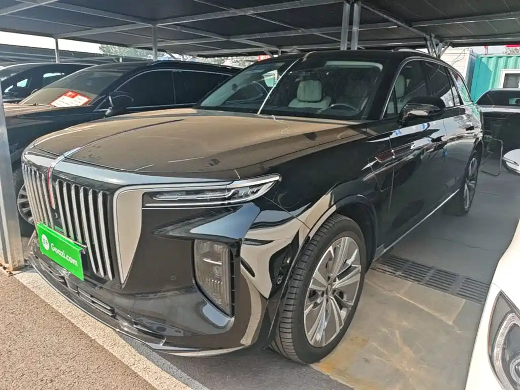 Hongqi Hongqi E-HS9 — миниатюра 2