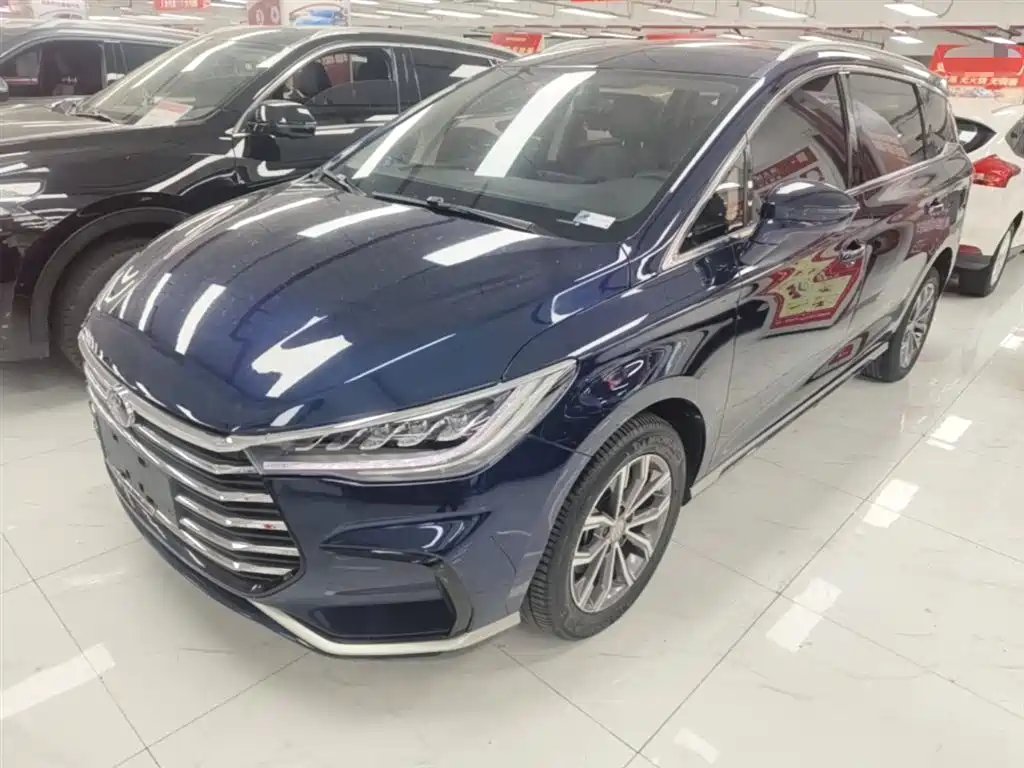 Byd MAX 2021