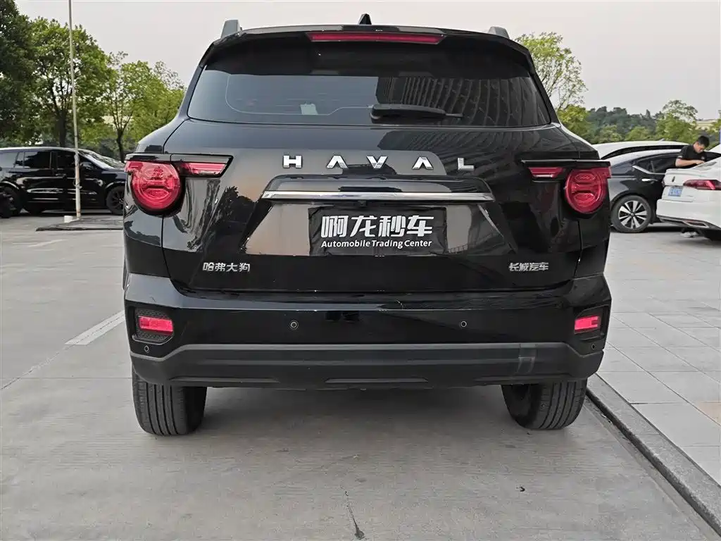 Haval Big Dog PLUS — миниатюра 8