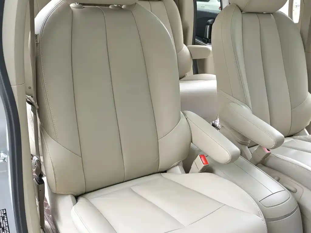 Buick GL8 — миниатюра 18