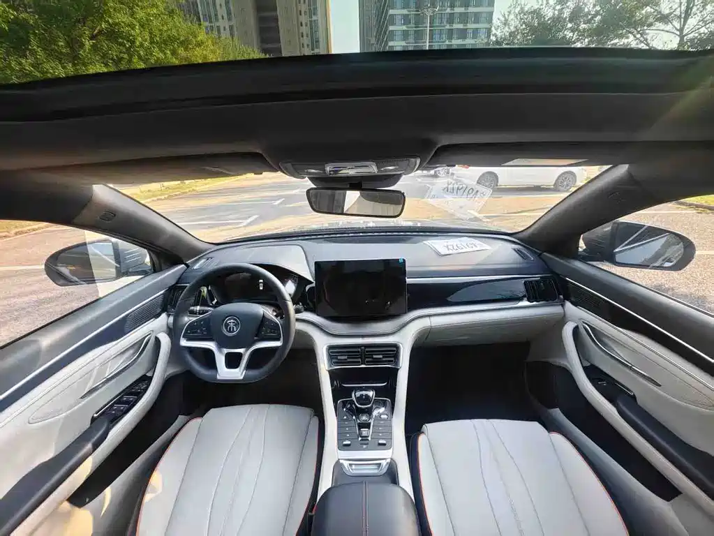 BYD PLUS New Energy — миниатюра 6