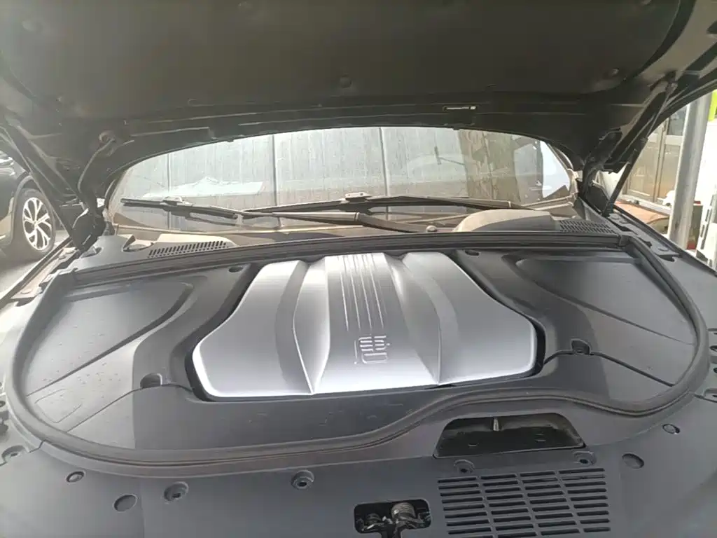 BYD Tang New Energy — миниатюра 20