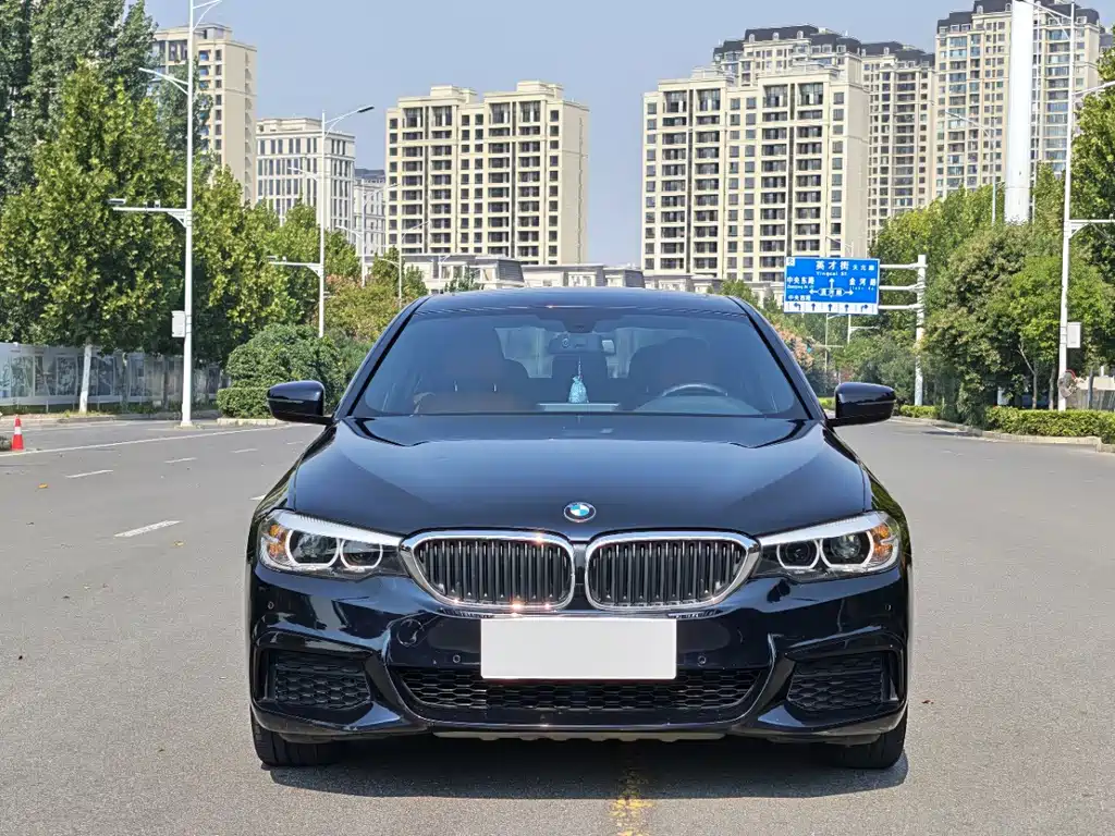 BMW 5 Series — миниатюра 2