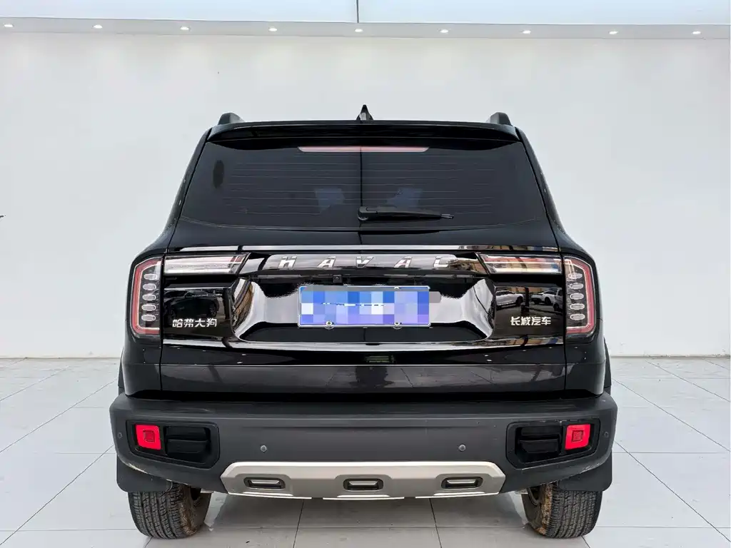 Haval Big Dog — миниатюра 9