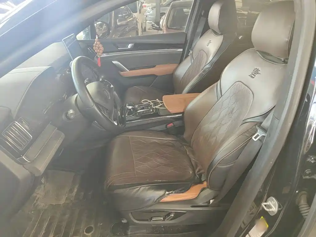 BYD Tang New Energy — миниатюра 11