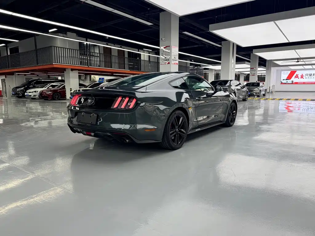 Ford Mustang — миниатюра 13