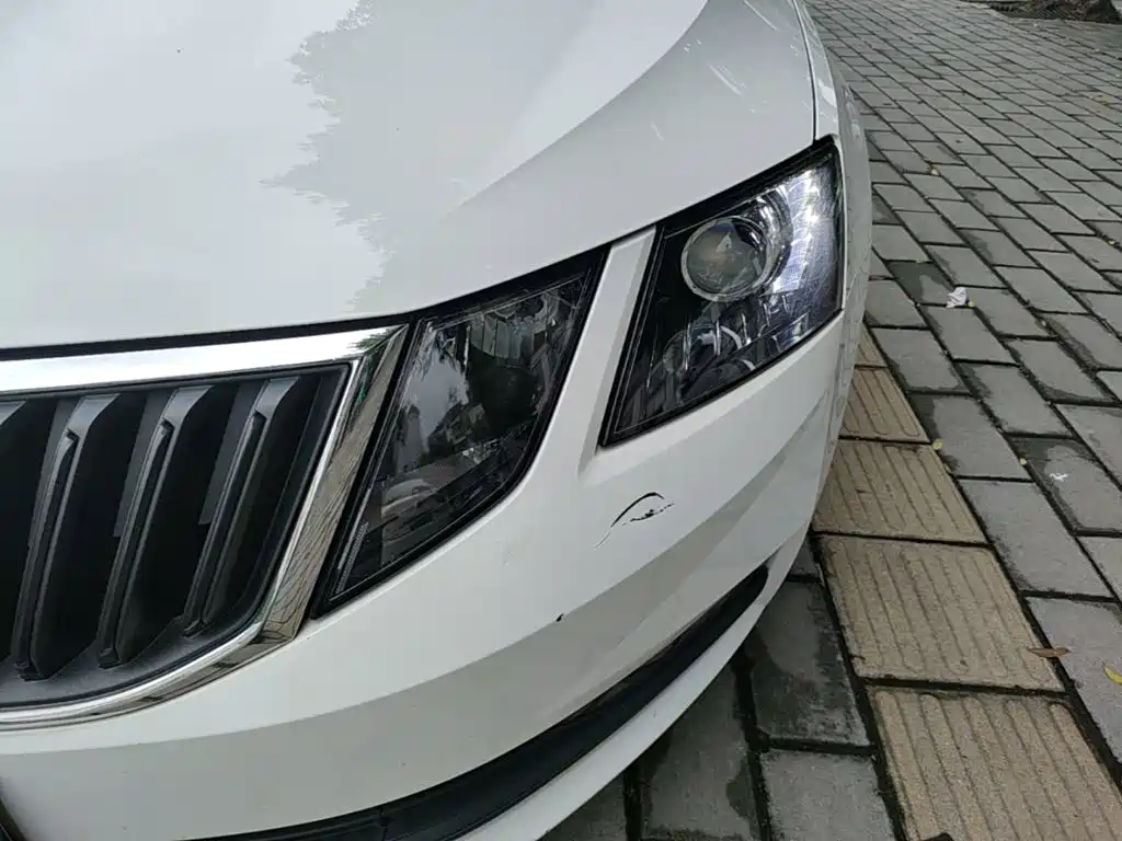 Skoda Octavia — миниатюра 24