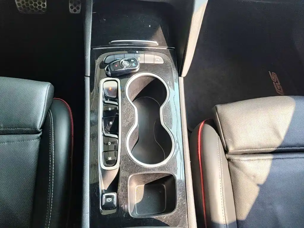Buick Regal — миниатюра 14