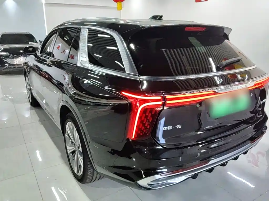 Hongqi Hongqi E-HS9 — миниатюра 5
