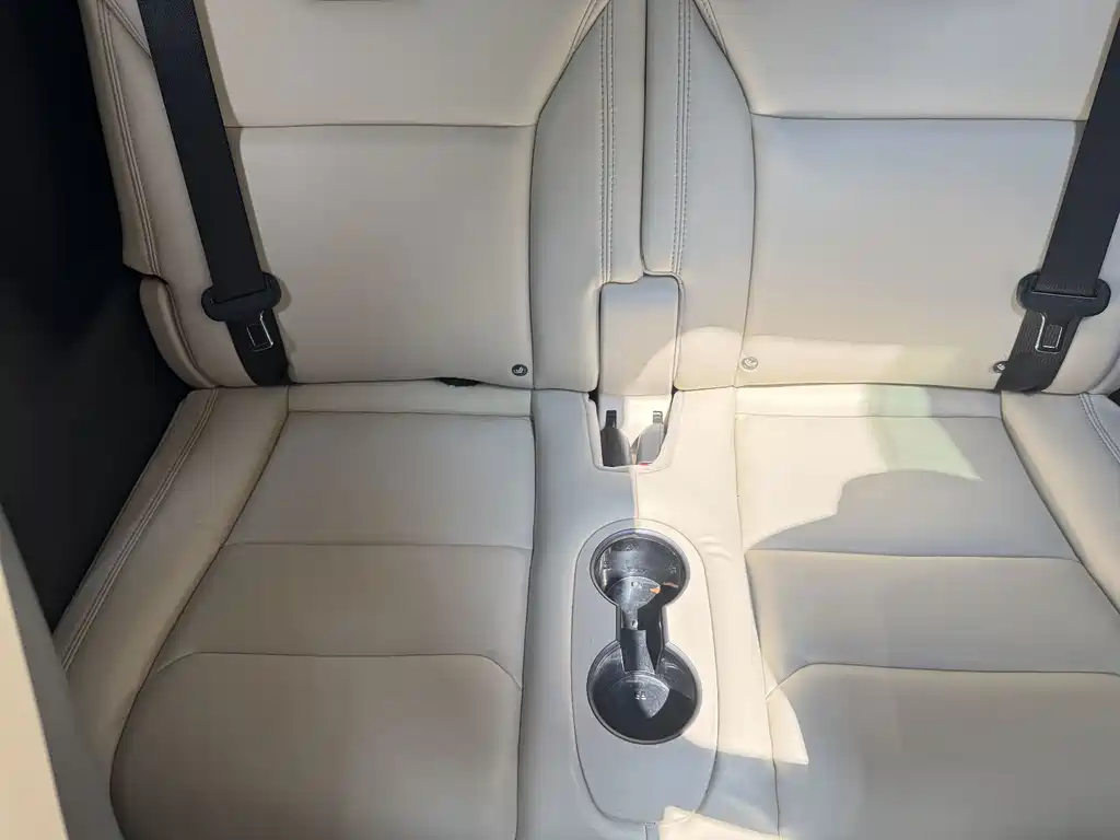 Tesla Model X — миниатюра 12