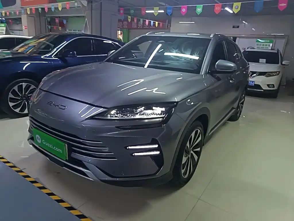 BYD PLUS New Energy — миниатюра 2