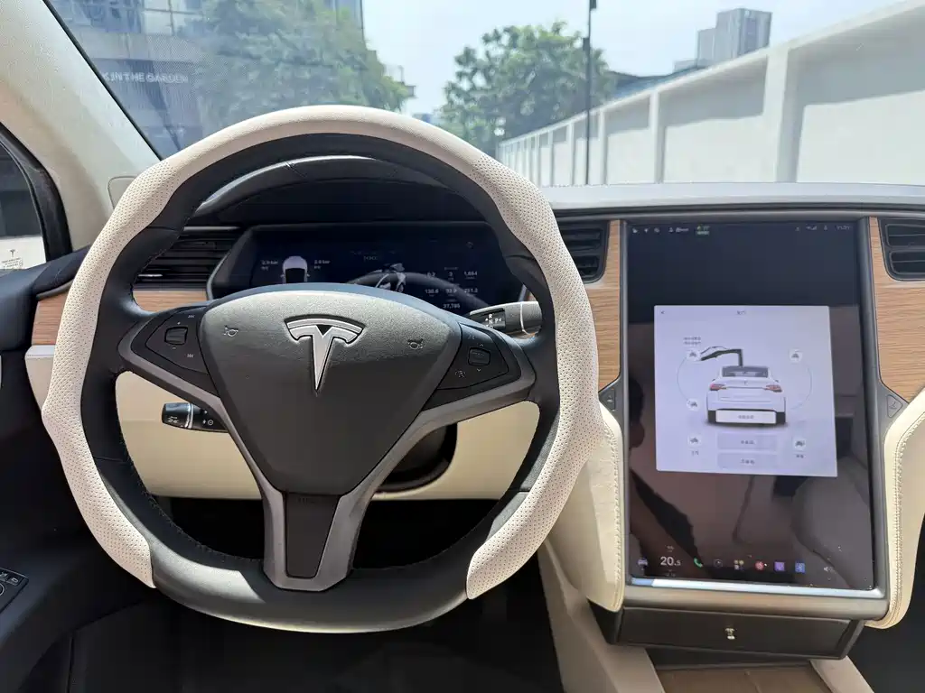 Tesla Model X — миниатюра 14