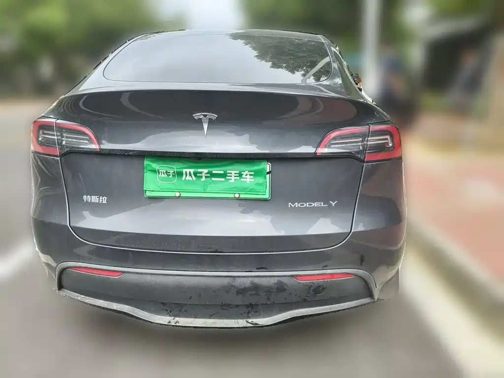 Tesla Model Y — миниатюра 3