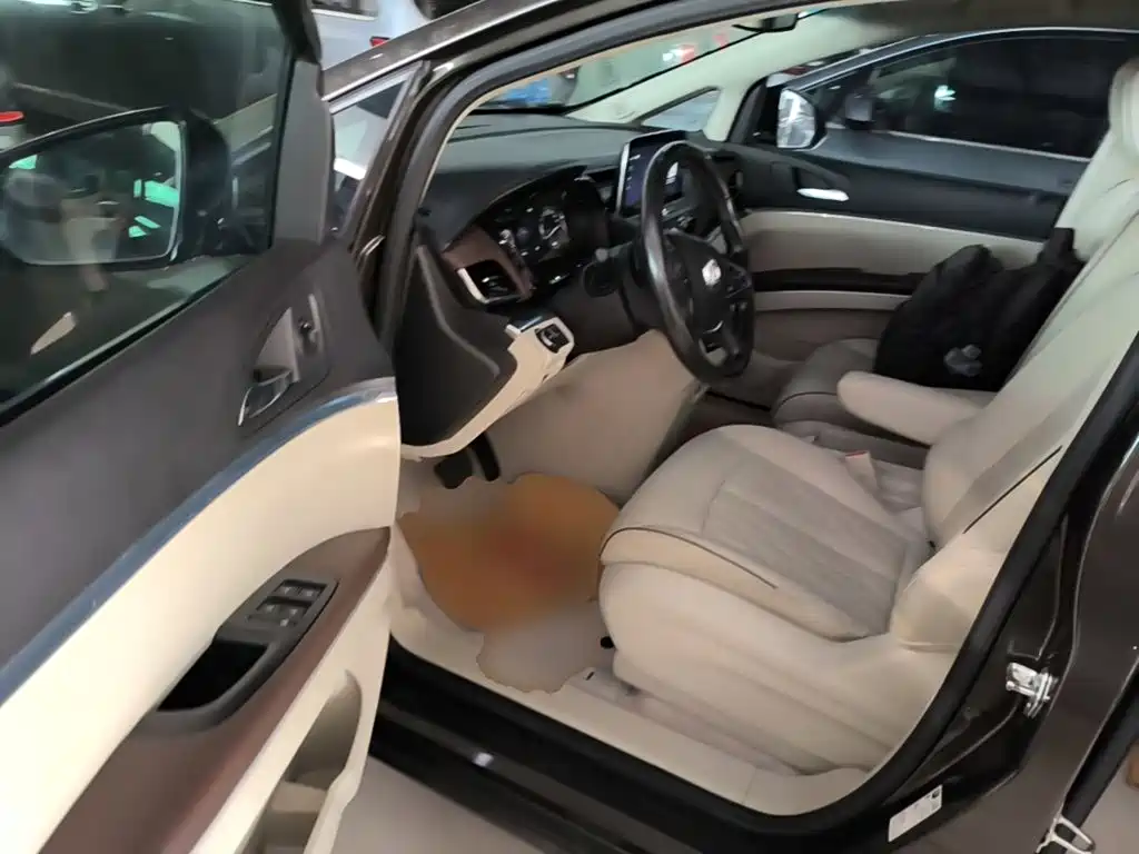 Buick GL8 — миниатюра 16