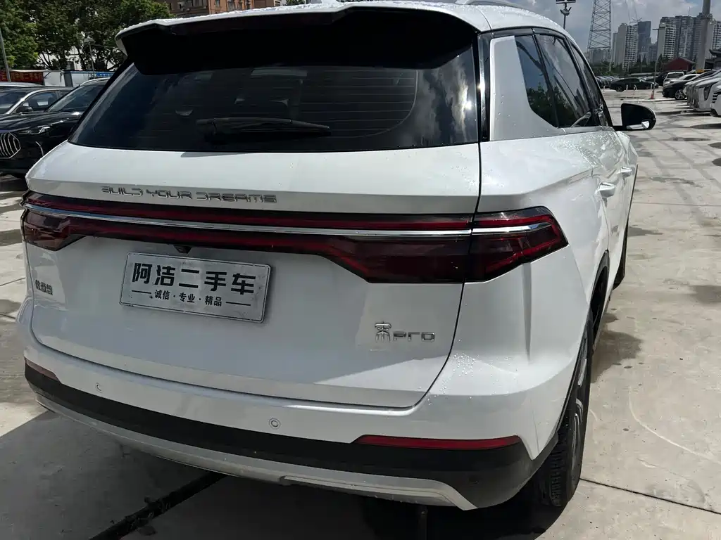 BYD Pro — миниатюра 25