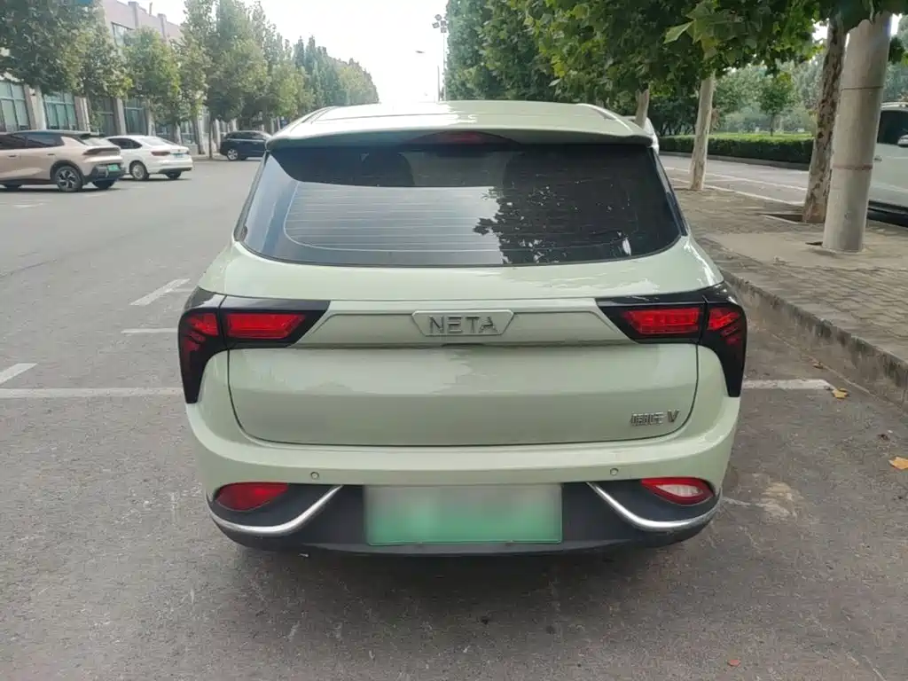 Neta Neta V — миниатюра 6