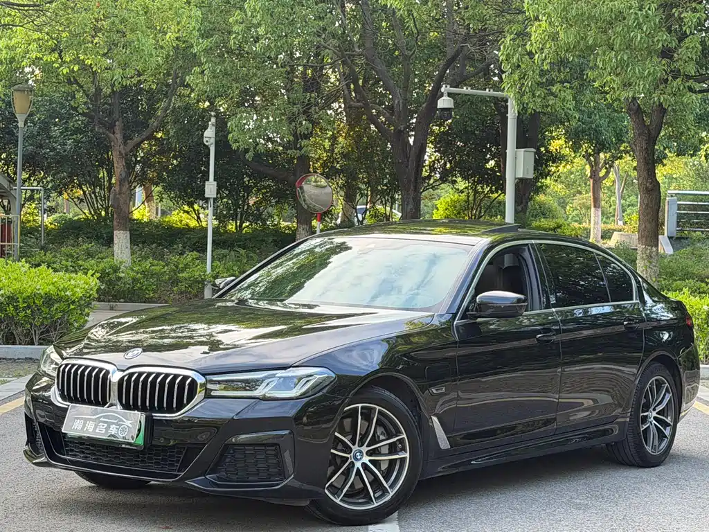 BMW 5 Series New Energy 2022