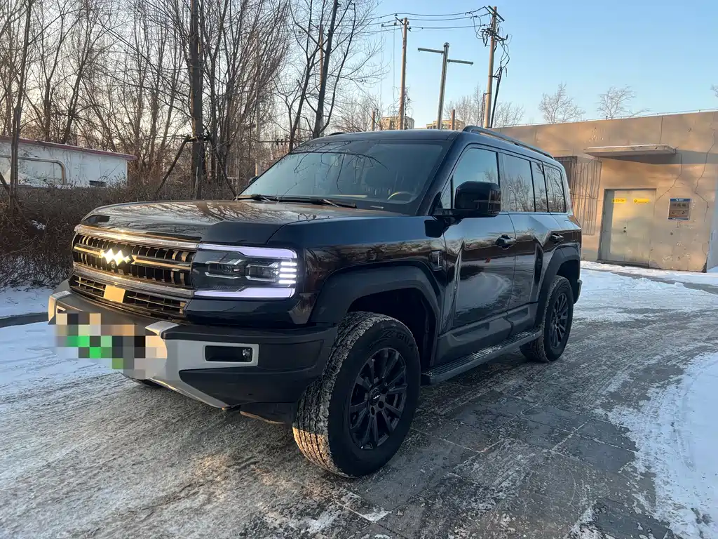 FANG CHENG BAO LEOPARD 5