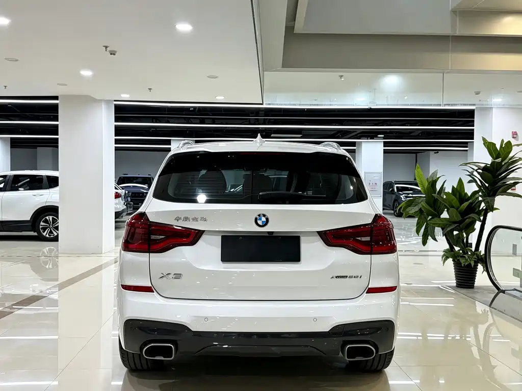BMW X3 — миниатюра 8