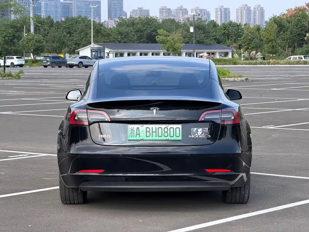 Tesla Model 3 — миниатюра 10