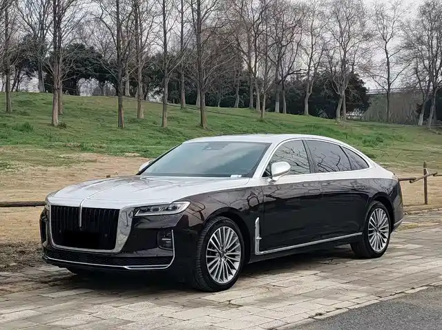 Hongqi HONGQI H9 2021