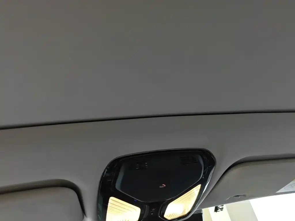 BMW X5 (Import) — миниатюра 18