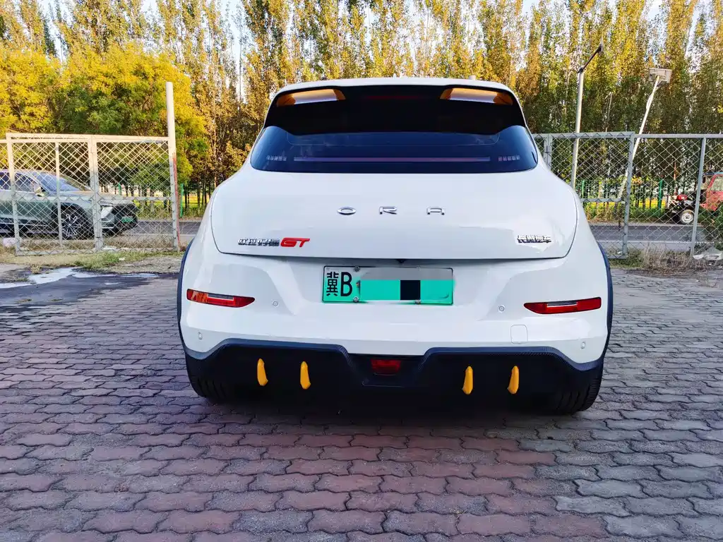 Ora Ora Good Cat GT — миниатюра 4