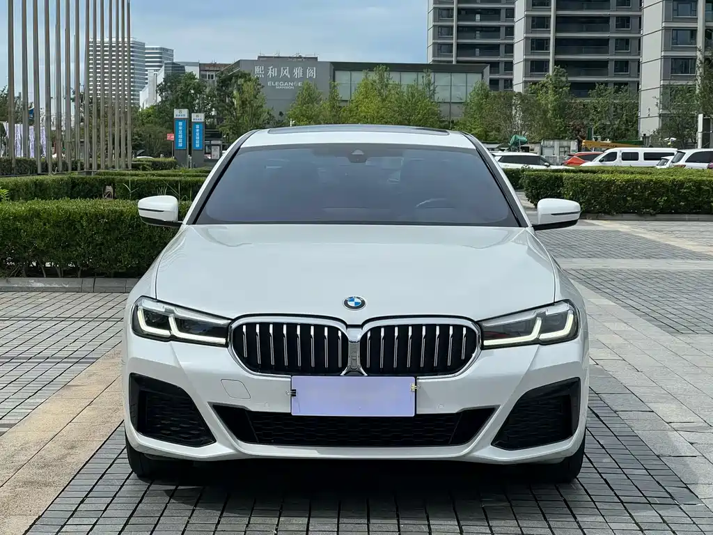 BMW 5 Series — миниатюра 2