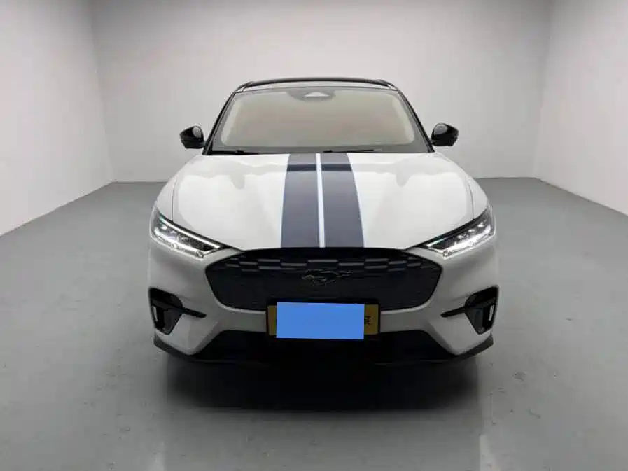 Ford Mustang Mach-E — миниатюра 2