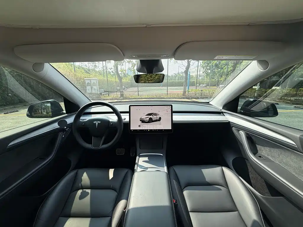 Tesla Model Y — миниатюра 7