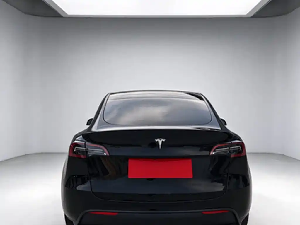 Tesla Model Y — миниатюра 6
